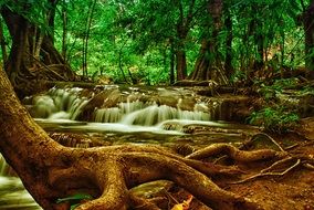 forest waterfall in the national park in Thailand