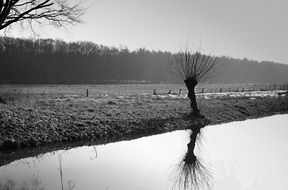 black and white photo of spring in Niederrhein