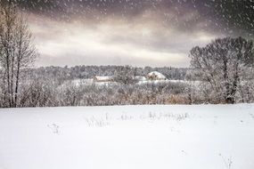 snow landscape is as a winter fairytale