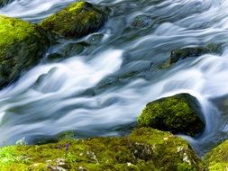 moss on the rocks on the bank of a mountain stream