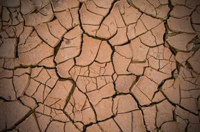 cracked dry ground