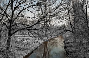 river between trees in frozen forest