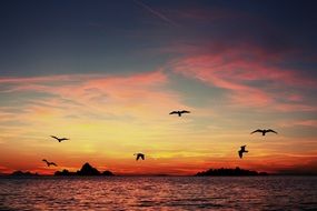 Beautiful sunset in the evening sky with the birds in Croatia