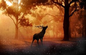 deer in the fairy forest