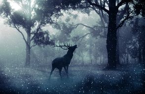 hirsch wild forest fantasy drawing