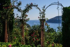 garden with roses seascape