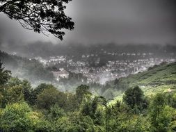 landscape of foggy nature