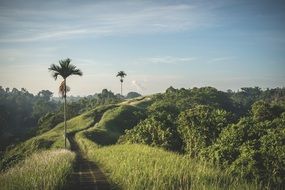 Path on a green grass hill