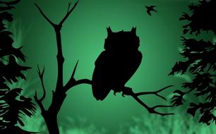 clipart of the owl against green light