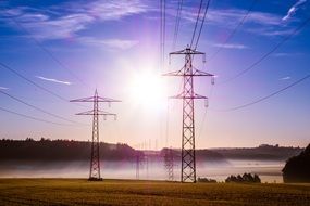 power lines on a foggy morning