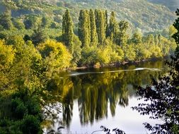 panorama of the river among the trees