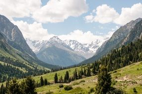 scenic green valley at mountains, kyrgyzstan