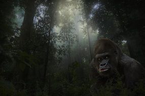 gorilla in a mysterious landscape