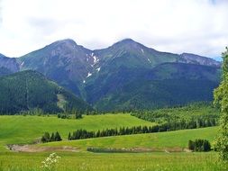 green fields near the mountain