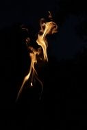 the flames through the black night