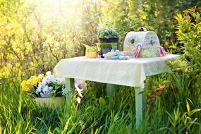 covered table in the garden