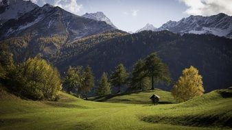 meadow green hills landscape