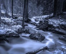 brook in forest at winter, long exposure, sweden, grÃ¶dinge