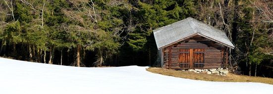 wooden hut on snowy meadow at forest