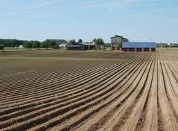 Photo of the fields near the farms