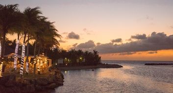 palm trees and caribbean sunset