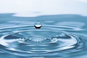 circles on the water from a falling drop