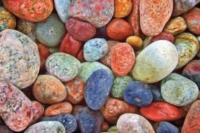 colorful sea stones