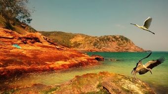 landscape of herons on mar island