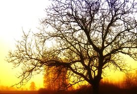 Landscape of beautiful orange sunrise