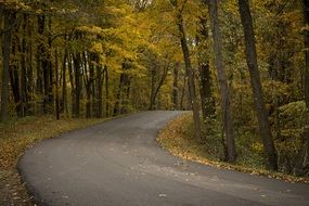 delightful winding road