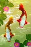 yellow and red fish in water