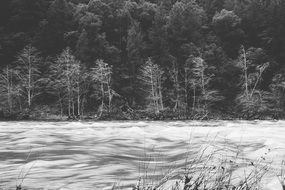 rapids in river at winter