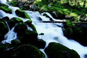 beautiful and delightful waterfall