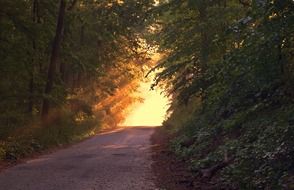 bright sun light at the end of the forest path