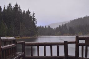 wood dock