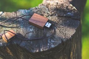 wooden usb drive on the stump