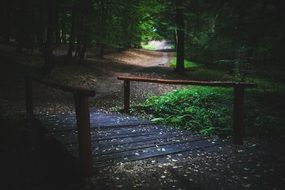 wooden bridge in forest