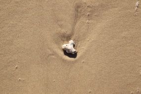 Small stone on a sandy beach