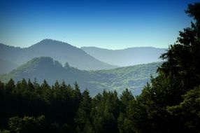 landscape of forests on mountains