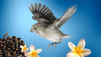 Bird on the background of coffee beans and flowers