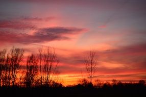 cloudly orange sunset tree outlines