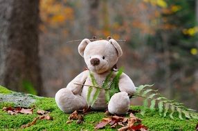 teddy bear toy in a forest