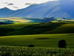 Landscape with beautiful green fields at colorful sunset in Liptov, Slovakia