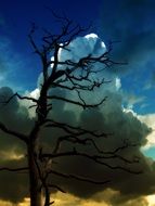 drawing watercolor tree on a stormy sky background