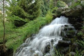 cascade waterfall in thickets