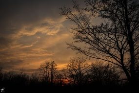 landscape of spring evening nature