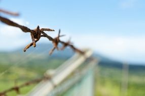 barbed wire on the fence at blurred background with mountains and plants