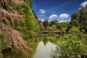 blooming trees in beautiful park at pond, turkey, istanbul