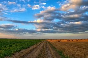 fields in agriculture