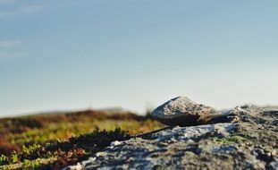 stone balance on rock